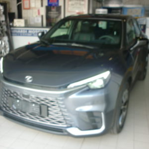 LEXSUS HYBRID ELEGANCE