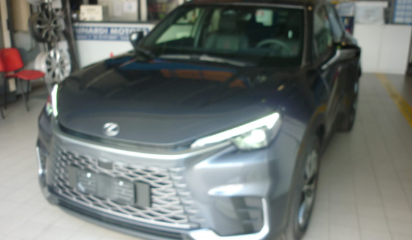 LEXSUS HYBRID ELEGANCE