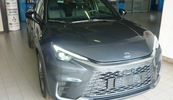 LEXSUS HYBRID ELEGANCE